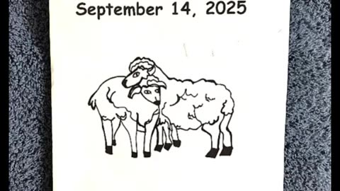 SERMON: "THE ESCAPE AND SEARCH FOR THE LOST SHARKS"