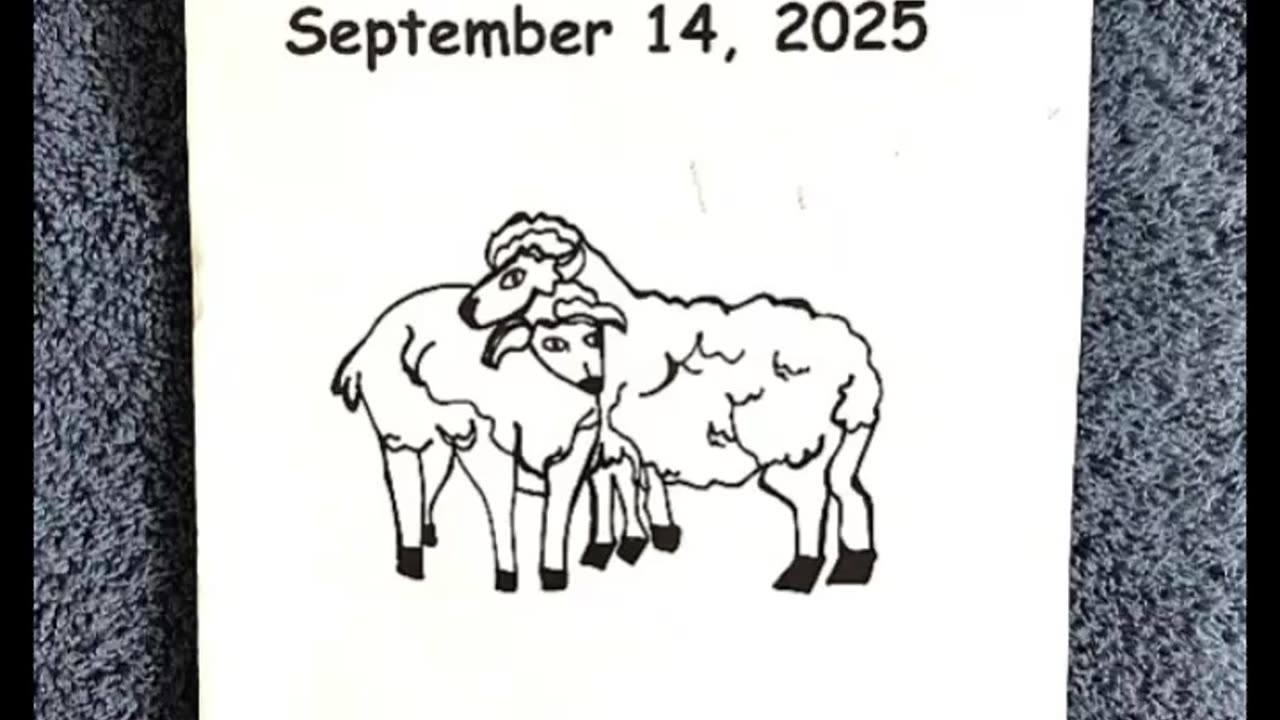 SERMON: "THE ESCAPE AND SEARCH FOR THE LOST SHARKS"