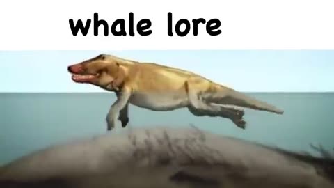 whale lore