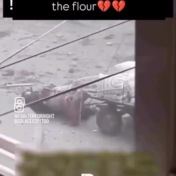 🇵🇸🇮🇱 Israeli soldiers in Gaza shot a horse transporting flour