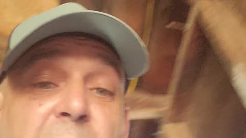 Tracy minnesota assult information