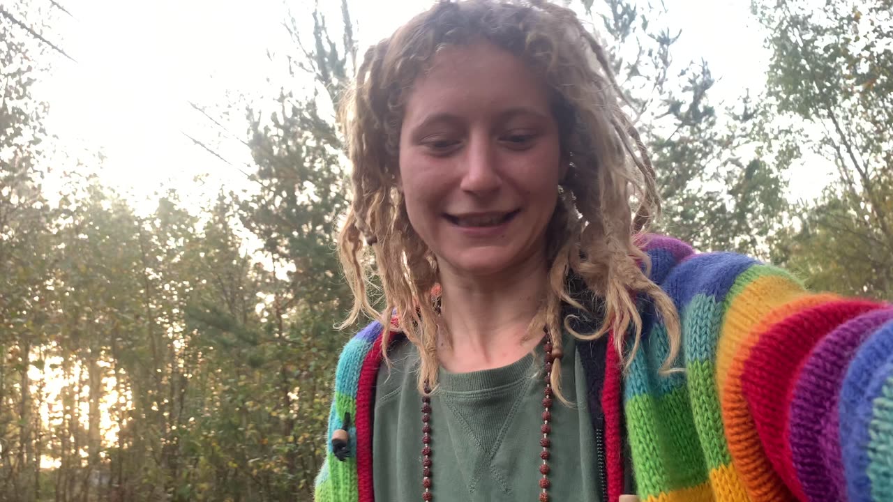 Morning walk in the forest 🍂