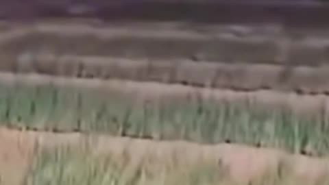 WHAT IS THAT 🤯😱😲😱 CREEPY VIDEO/ REAL GHOST CAUGHT ON CAMERA 📸