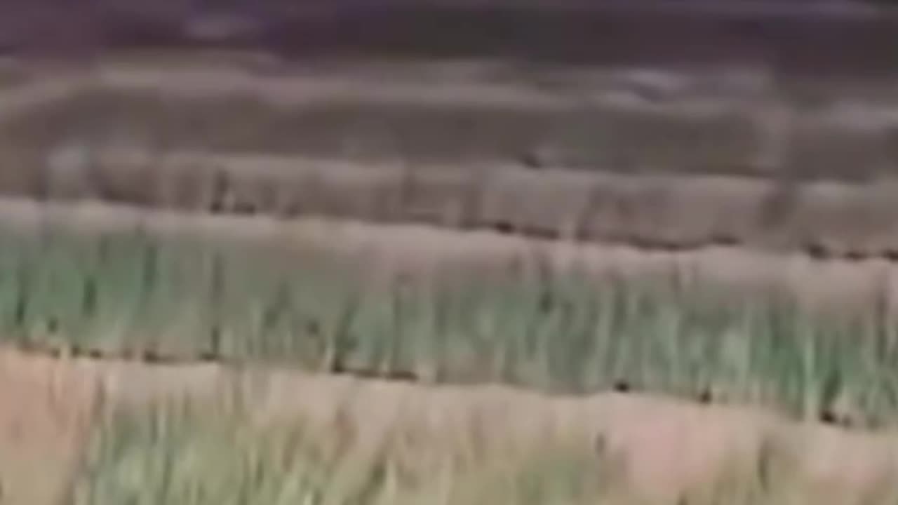 WHAT IS THAT 🤯😱😲😱 CREEPY VIDEO/ REAL GHOST CAUGHT ON CAMERA 📸