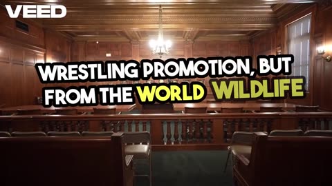Why The WWF Became The WWE