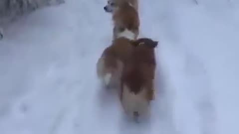 Let's go together