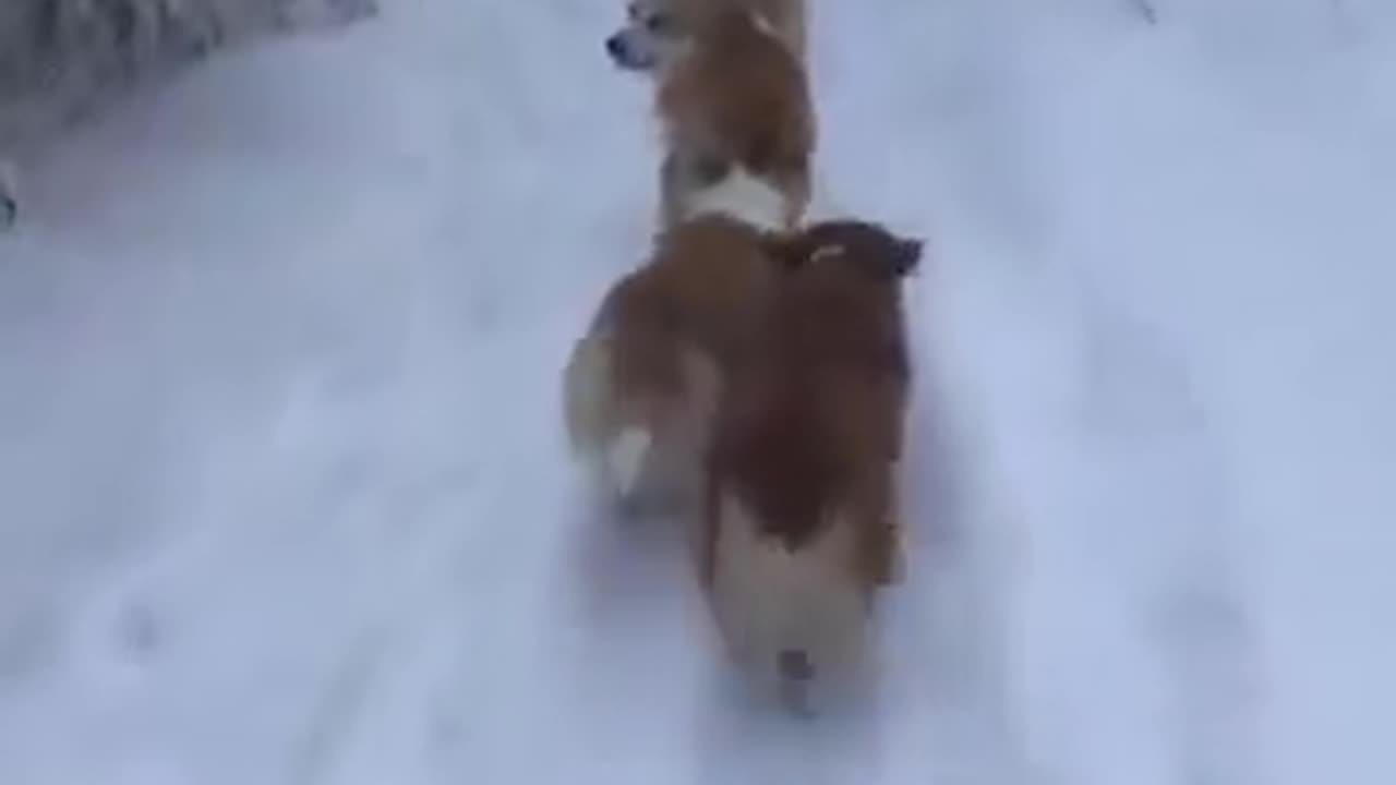 Let's go together