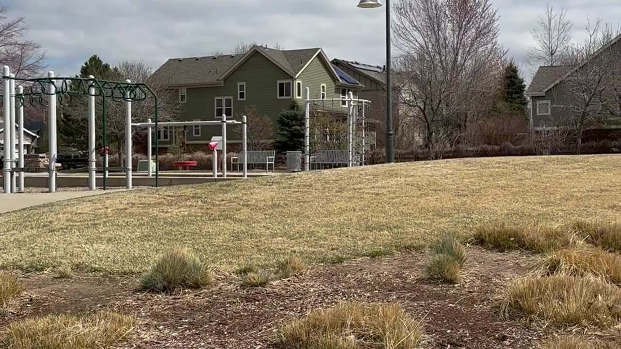 Went out for a walk with my sister in the park