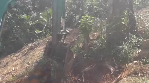 POV: Cutting a Road Into a Steep Forest Mountain!