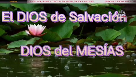 En Vivo FMC