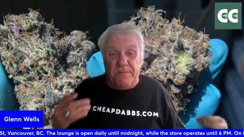The THC show with Glenn Wells