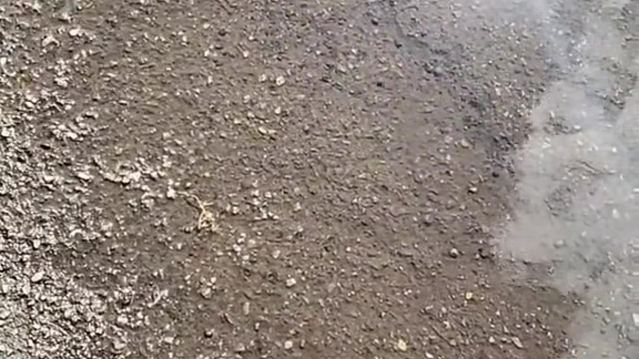 When a puddle of water was enough for you.