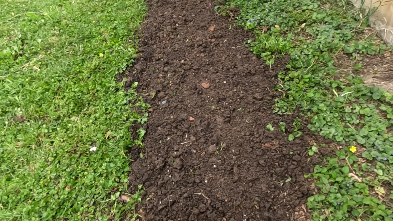 The Cukes!