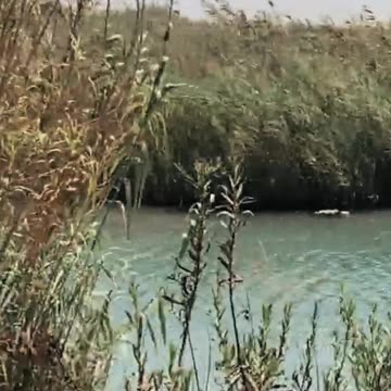 Israel country travel 🇮🇱 Tourism in Israel #4 #shorts