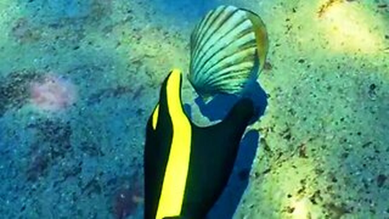 SUBSIDE Walkthrough Gameplay Letsplay ｜ 4K 60fps ｜ PS5 Pro PSVR 2 ｜ Demo ｜ No Commentary