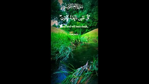 “Emotional Quran Recitation | Soothing Voice that Touches the Heart 💖📖