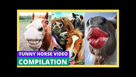 Hilarious Horse Fails & Funny Moments Compilation 2025