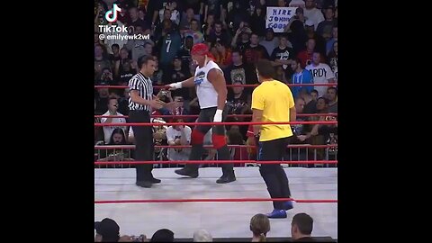 Hulk Hogan vs Sting