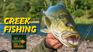 Creek Fishing