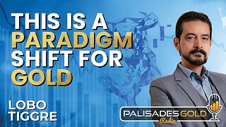 Lobo Tiggre: 'Very Bullish' On Gold & Silver and Why Oil is Not 'Stupid Cheap' Yet