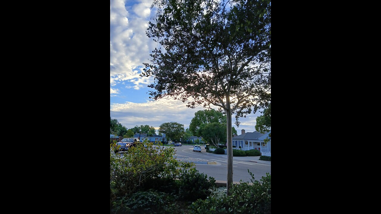 Feelings Check - 2 Songs