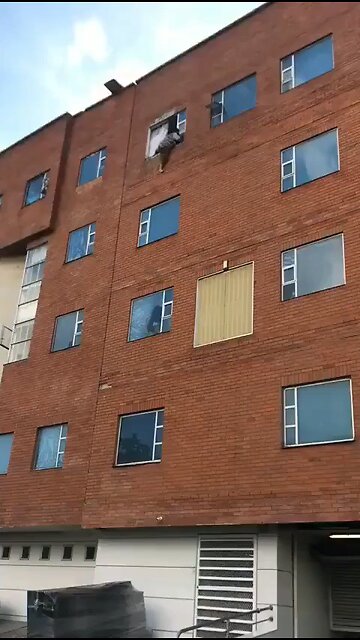 Narcissists like the man in this video...