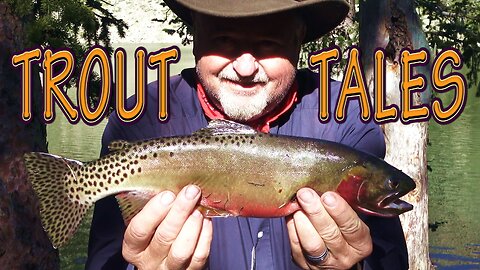 TROUT TALES 🎣 8 Days Remote Backpack Catch, Cook and Camp with My Dog