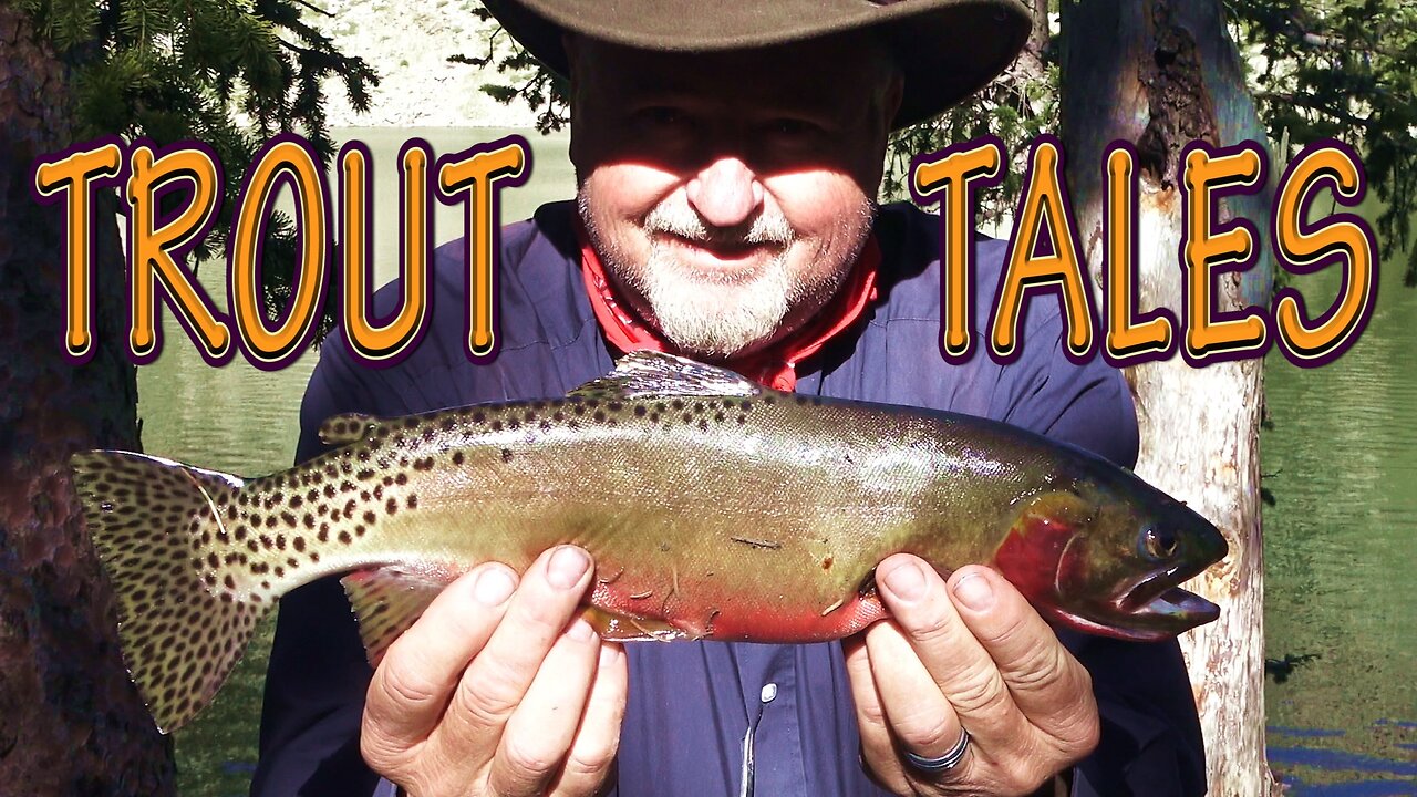 TROUT TALES 🎣 8 Days Remote Backpack Catch, Cook and Camp with My Dog