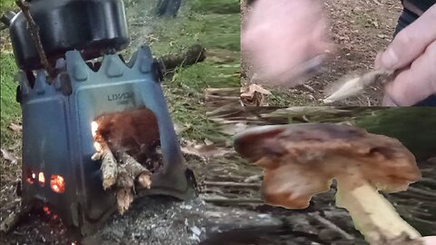morniing, coffee and pork, #2025 , @ashoffgrid ,