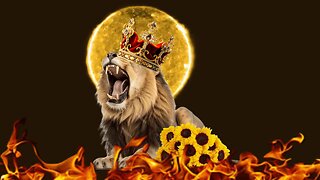 👑 1 Kings 2 👑