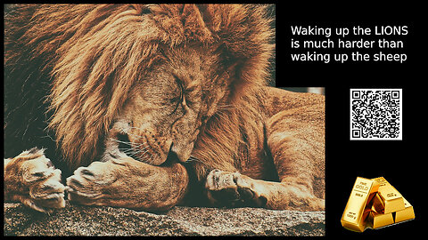 🔥 Waking up the lions ⏰