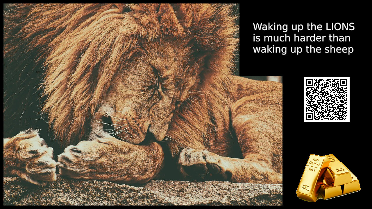 🔥 Waking up the lions ⏰