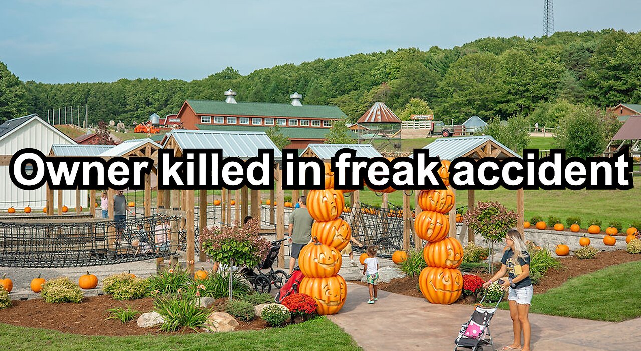 Owner killed in freak accident