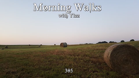 Morning Walks with Yizz 305