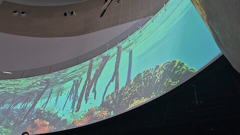 Seattle Aquarium Ocean Pavilion Views of Overlook Observatory 3d Australian Ocean