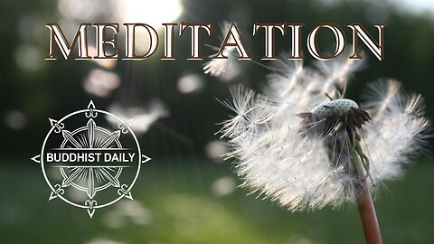 MEDITATION IS NOT A BELIEF SYSTEM - Lama Dawa Answers Meditation Questions