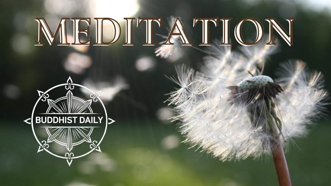 MEDITATION IS NOT A BELIEF SYSTEM - Lama Dawa Answers Meditation Questions