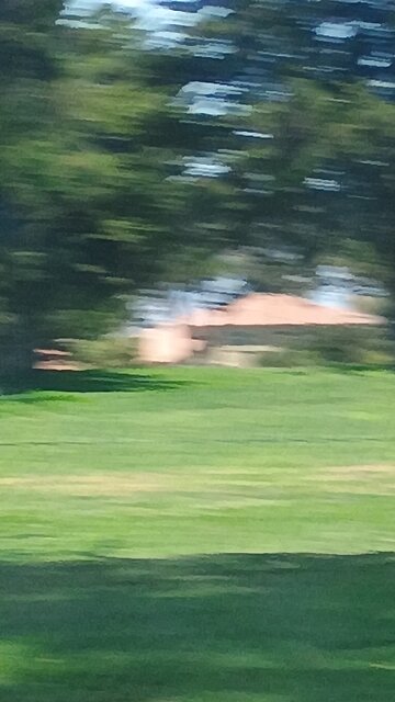 rich dracs snitches assaulting humans with golf balls