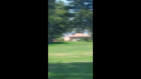 rich dracs snitches assaulting humans with golf balls