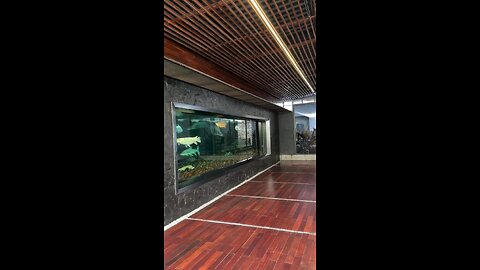 Impossible?! A Monitor Lizard Somehow Entered This Place 🦎😨