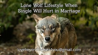 Why the "lone wolf" Lifestyle Will Hurt Your Odds of Getting Married