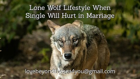 Why the "lone wolf" Lifestyle Will Hurt Your Odds of Getting Married