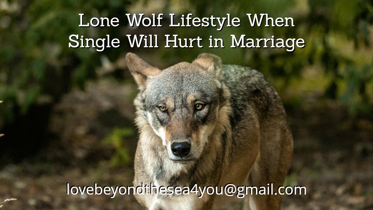 Why the "lone wolf" Lifestyle Will Hurt Your Odds of Getting Married