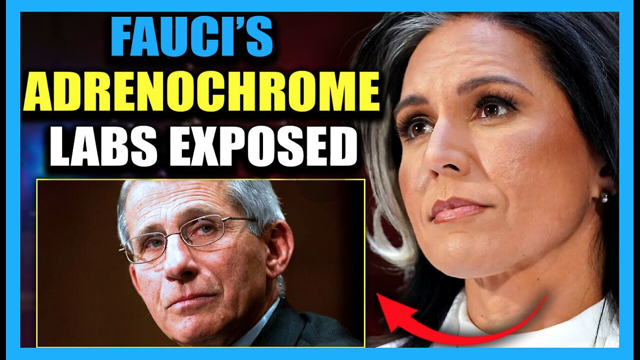 Tulsi Gabbard Exposes Fauci's Ukraine Biolabs as Adrenochrome Factories