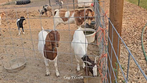Graham Family Farm NW: 9:00 AM September 5 2025