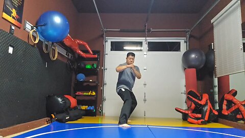 WTD 2 Step Kick Combination 179