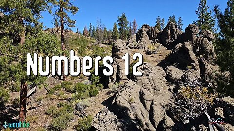 Numbers 12, Bible Reading in Nature, BSB