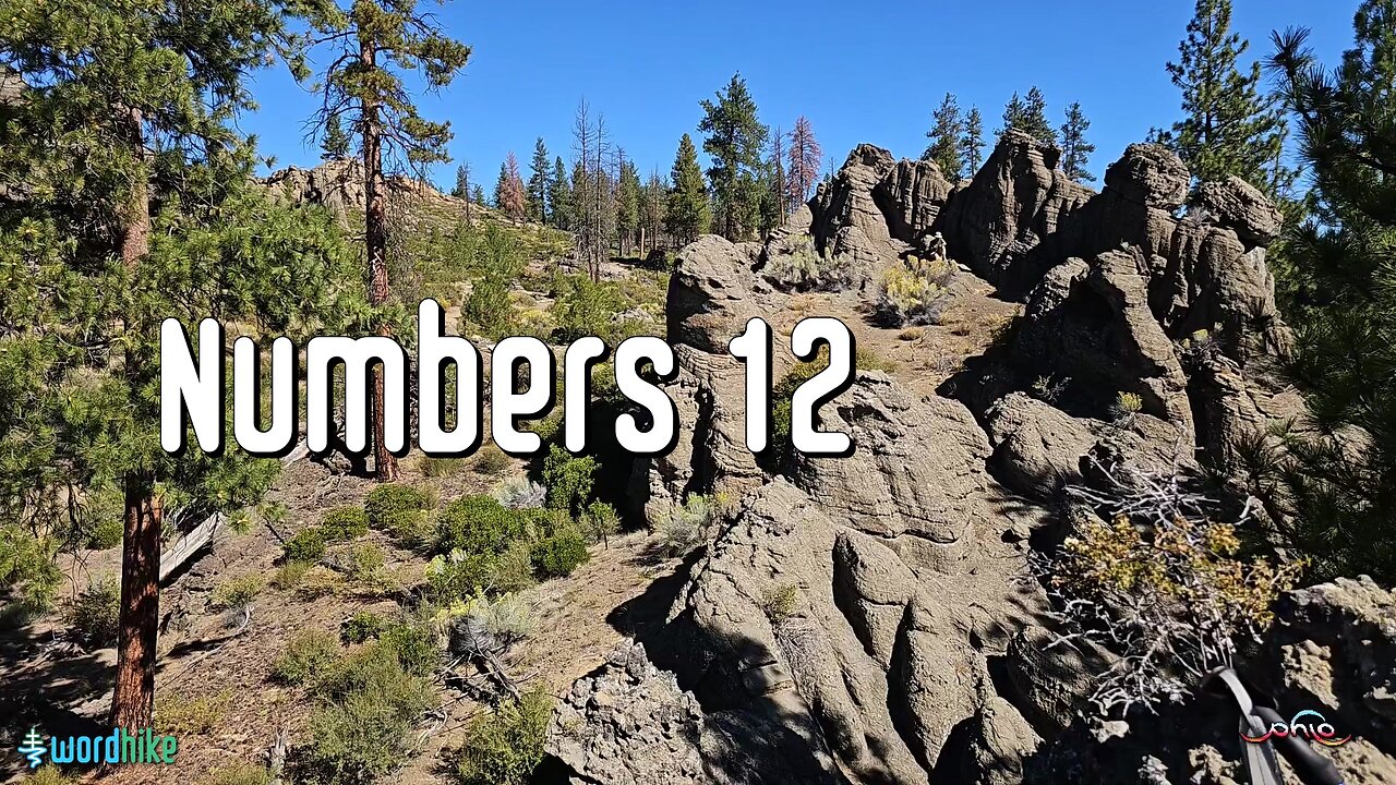 Numbers 12, Bible Reading in Nature, BSB