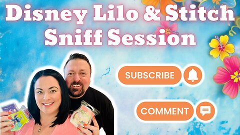 Disney Lilo & Stitch Sniff Session