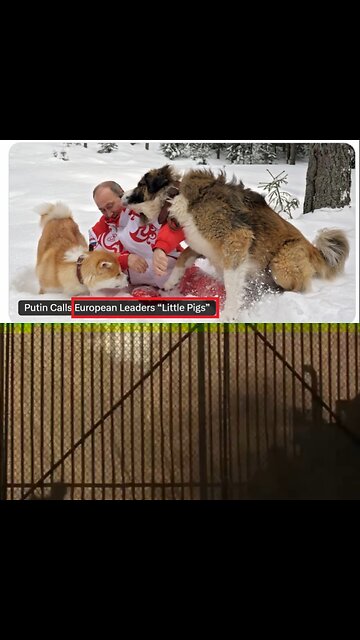 - Putin called European leaders «pigs».